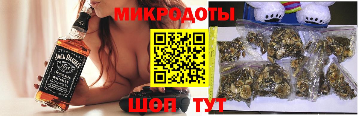 Псилоцибиновые грибы Psilocybe Озёры