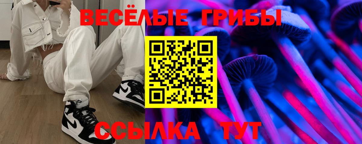 Псилоцибиновые грибы мухоморы  Вход с VPN  Озёры 